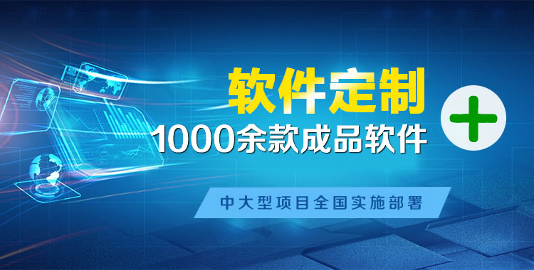 隆化软件开发